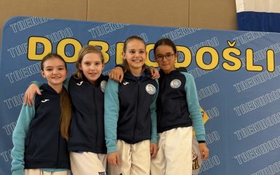 Održan 2. Dubrava Kup